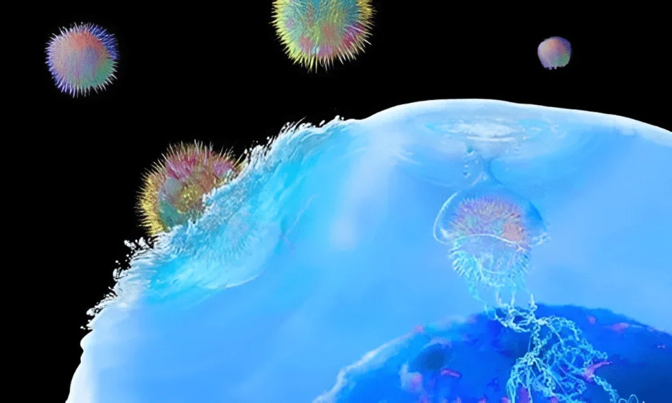Fighting Lymphoma: Treatment Options Include Alternatives to Chemotherapy