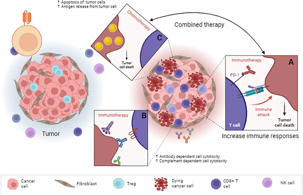 Which is More Effective: Immunotherapy or Chemotherapy Compared?