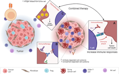 Which is More Effective: Immunotherapy or Chemotherapy Compared?