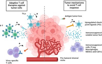 Targeted Therapy for Blood and Solid Tumors: Breakthrough Drugs Changing Cancer Care